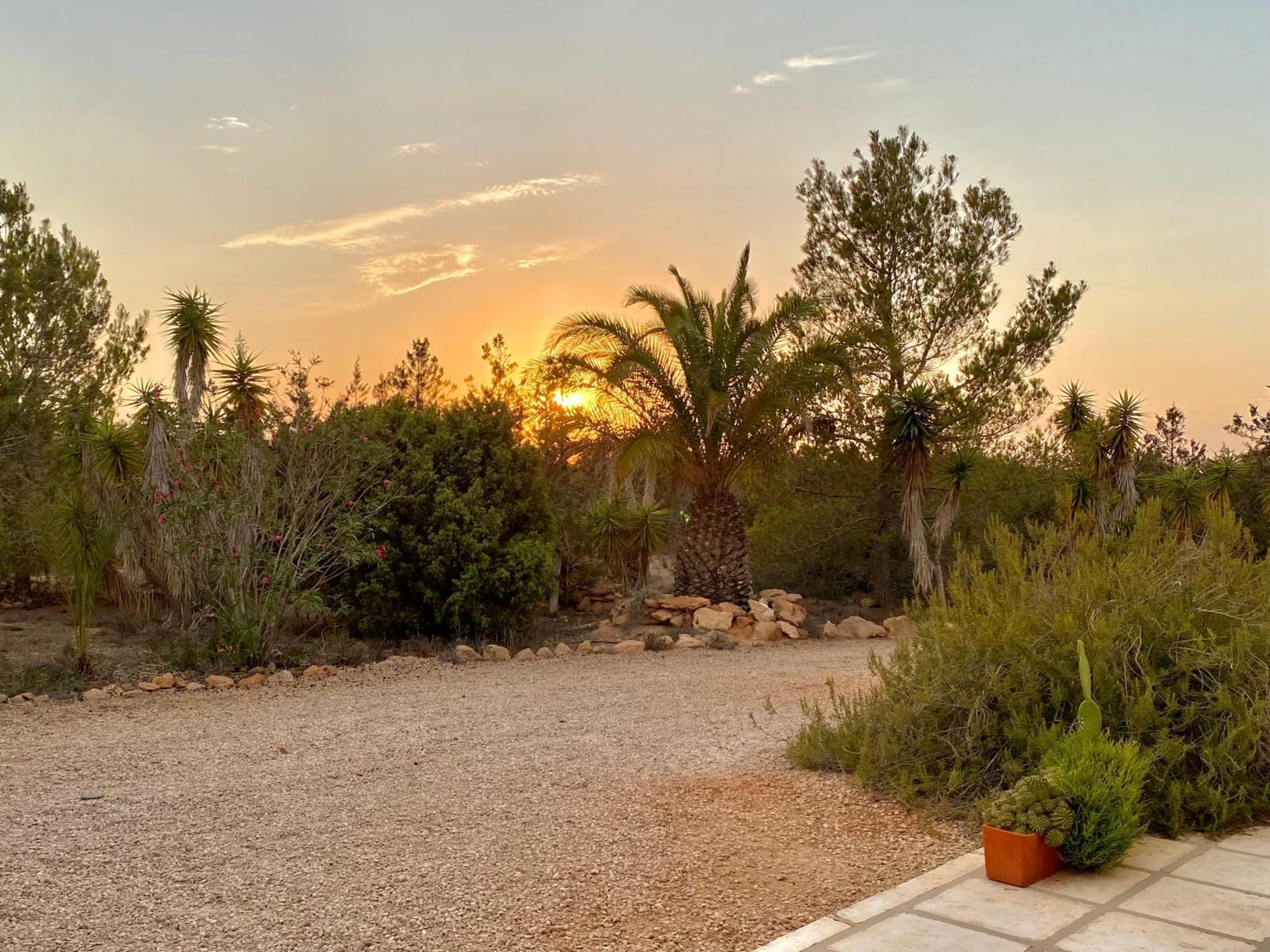 Ses Oliveres Villa Cala Saona Exterior foto